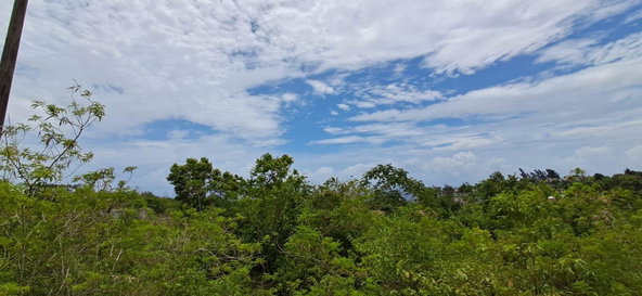 Seventh image of 38 Huddersfield, St. Mary in Huddersfield Estates, St. Mary, Jamaica - property is For Sale