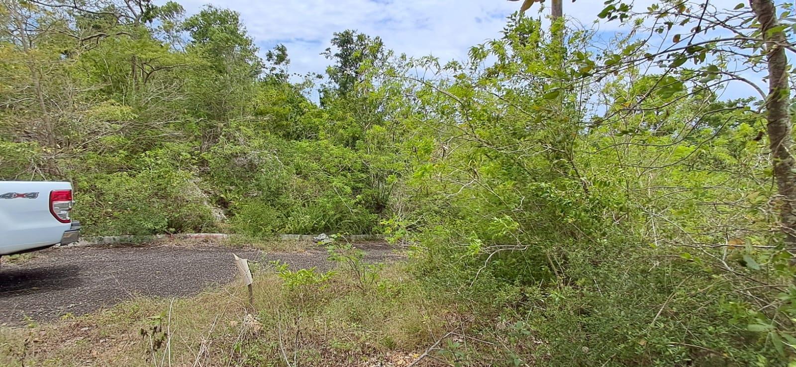 Eighth image of 38 Huddersfield, St. Mary in Huddersfield Estates, St. Mary, Jamaica - property is For Sale