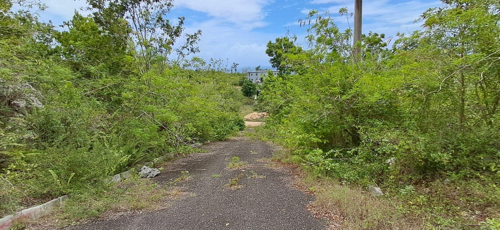 Ninth image of 38 Huddersfield, St. Mary in Huddersfield Estates, St. Mary, Jamaica - property is For Sale