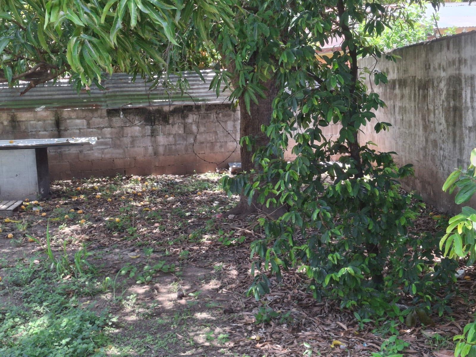 Sixth image of 29 Conway Drive in Kingston 20, St. Andrew, Jamaica - property is For Sale