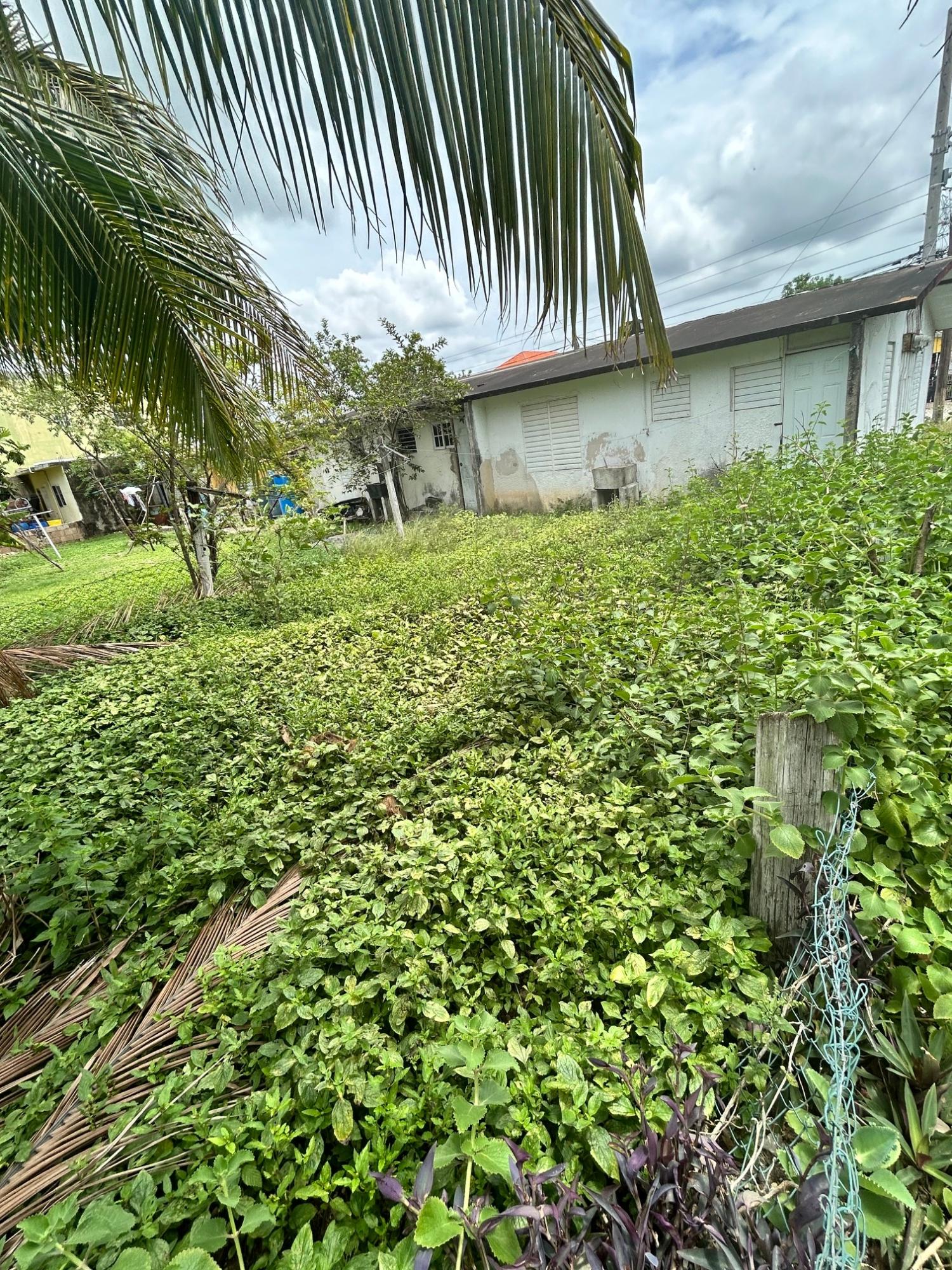 Third image of Lot 329 Ebony Vale in Spanish Town, St. Catherine, Jamaica - property is For Sale