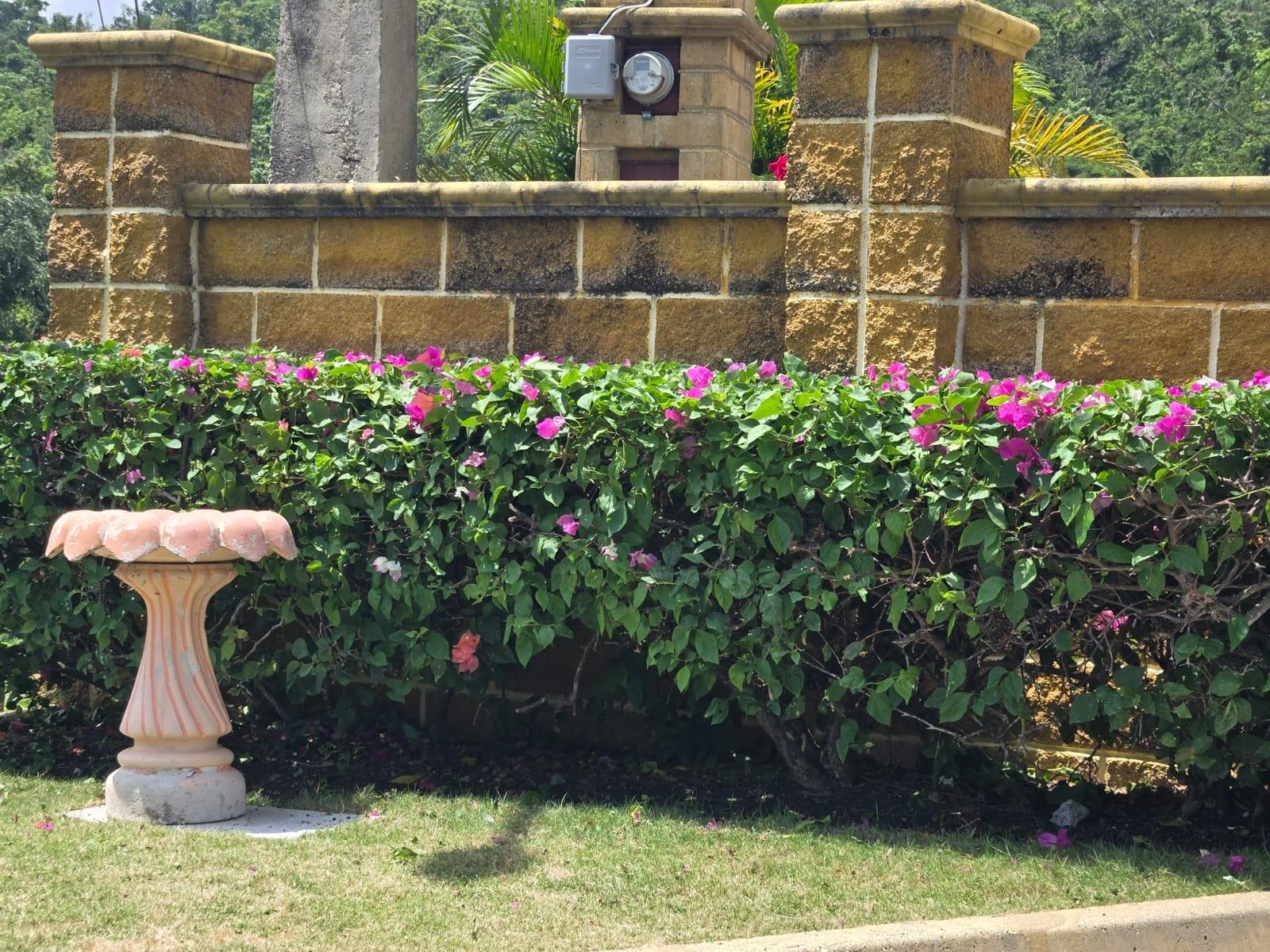 First image of 313- Vista Del Mar, Drax Hall in Drax Hall Estate, St. Ann, Jamaica - property is For Rent