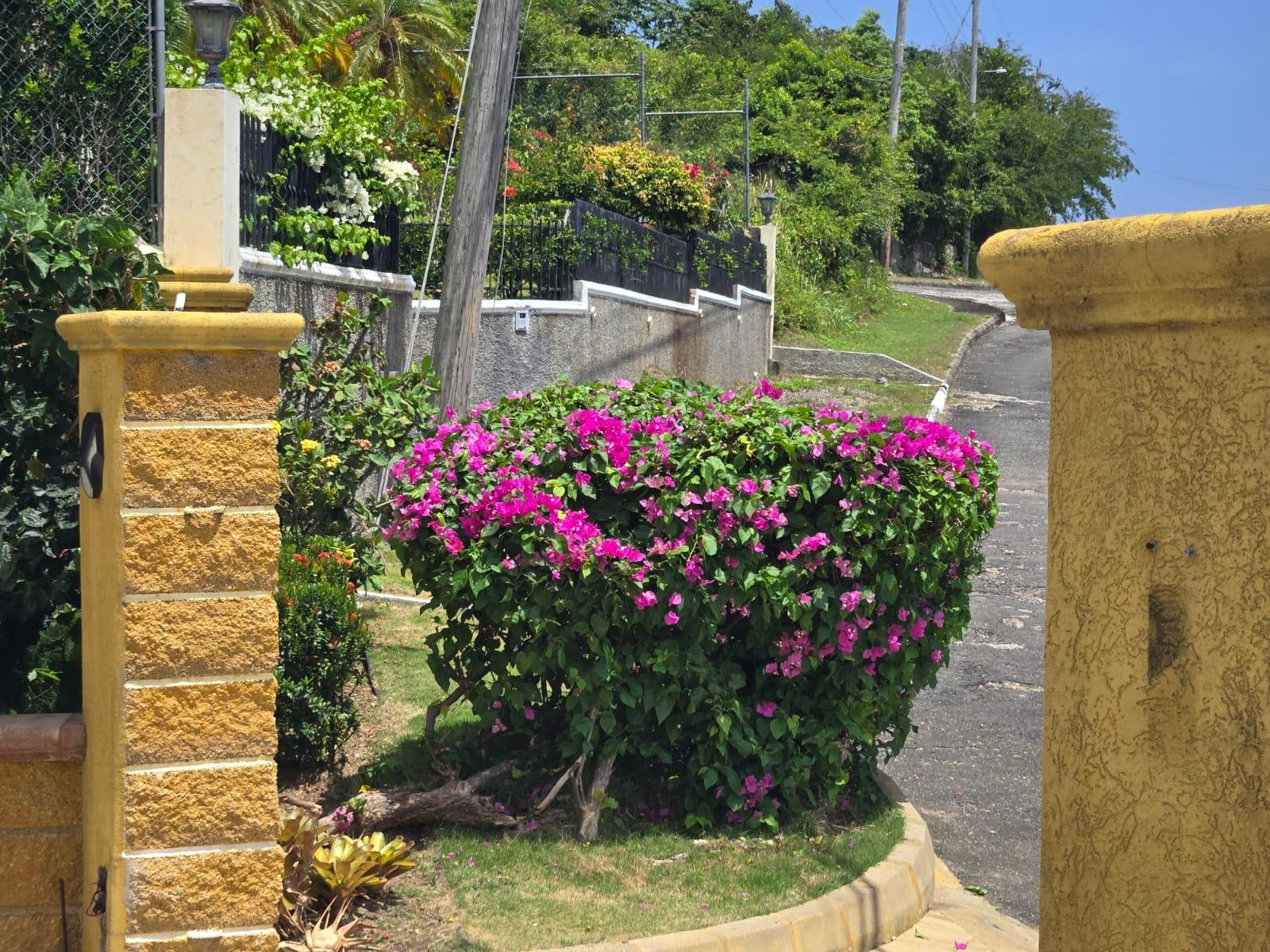 Second image of 313- Vista Del Mar, Drax Hall in Drax Hall Estate, St. Ann, Jamaica - property is For Rent