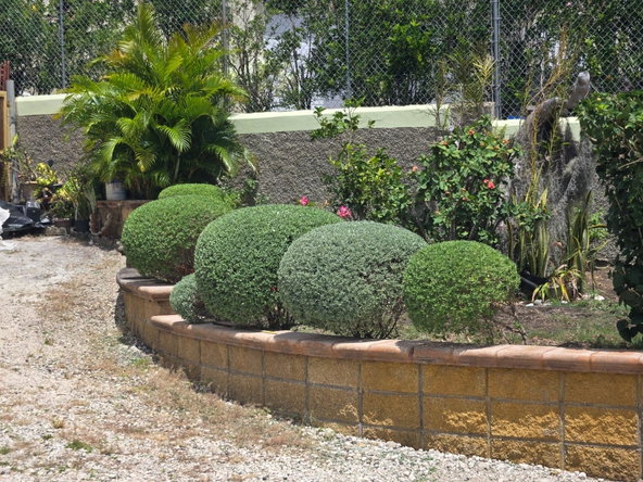 Third image of 313- Vista Del Mar, Drax Hall in Drax Hall Estate, St. Ann, Jamaica - property is For Rent