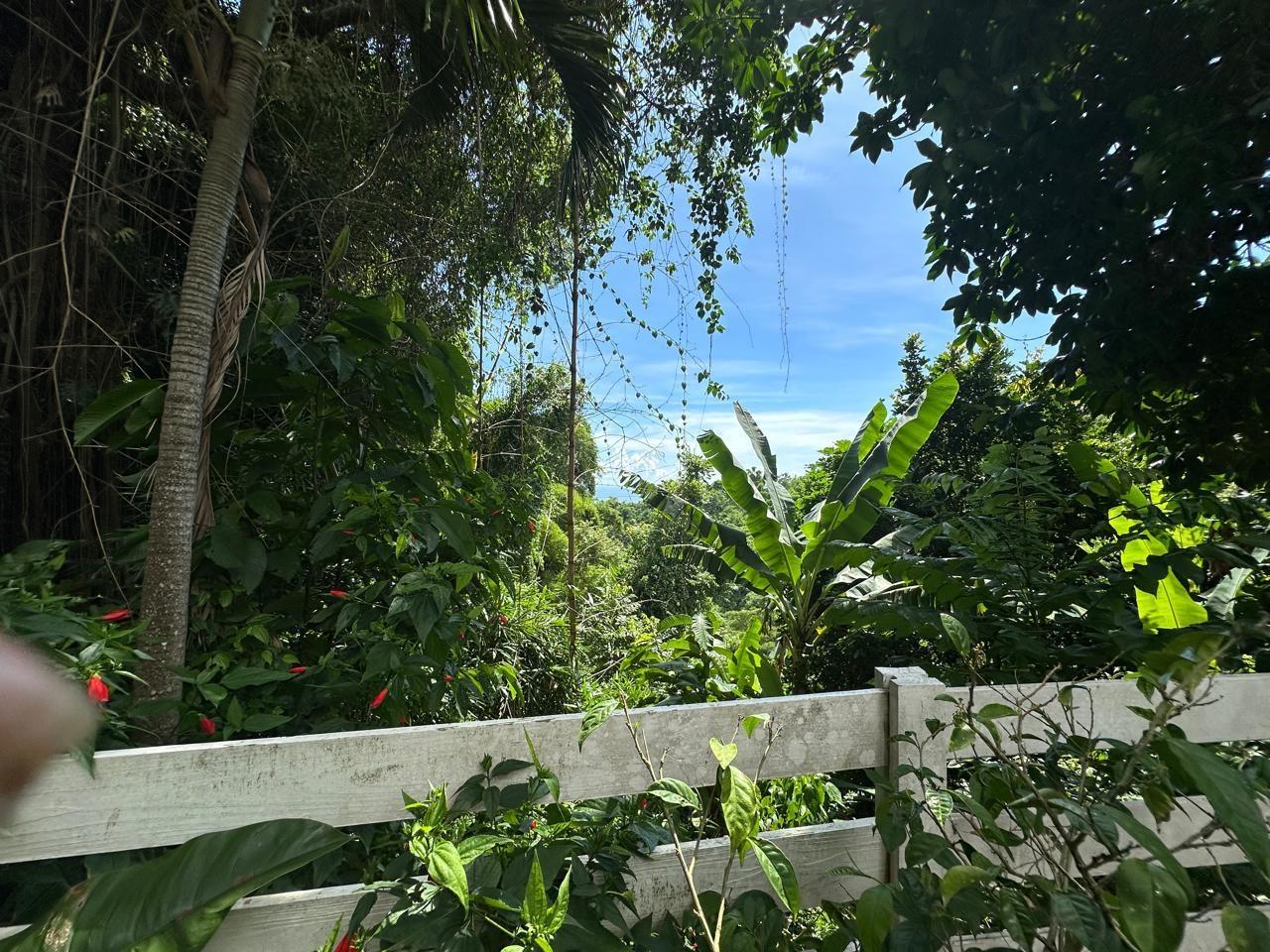 Tenth image of 4 Mountain Spring Drive in Kingston 6, St. Andrew, Jamaica - property is For Sale