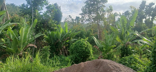 First image of 62- pt Windsor Lodge L/s, Som in Windsor Lodge, St. James, Jamaica - property is For Sale