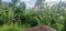 First image of 62- pt Windsor Lodge L/s, Som in Windsor Lodge, St. James, Jamaica - property is For Sale