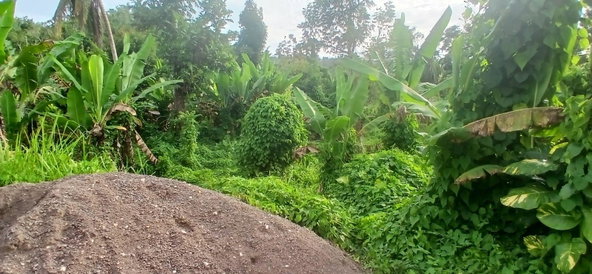 Third image of 62- pt Windsor Lodge L/s, Som in Windsor Lodge, St. James, Jamaica - property is For Sale