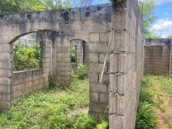 Thirteenth image of Williamsfield in Williamsfield, Manchester, Jamaica - property is For Sale