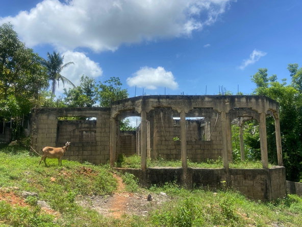 Third image of Williamsfield in Williamsfield, Manchester, Jamaica - property is For Sale