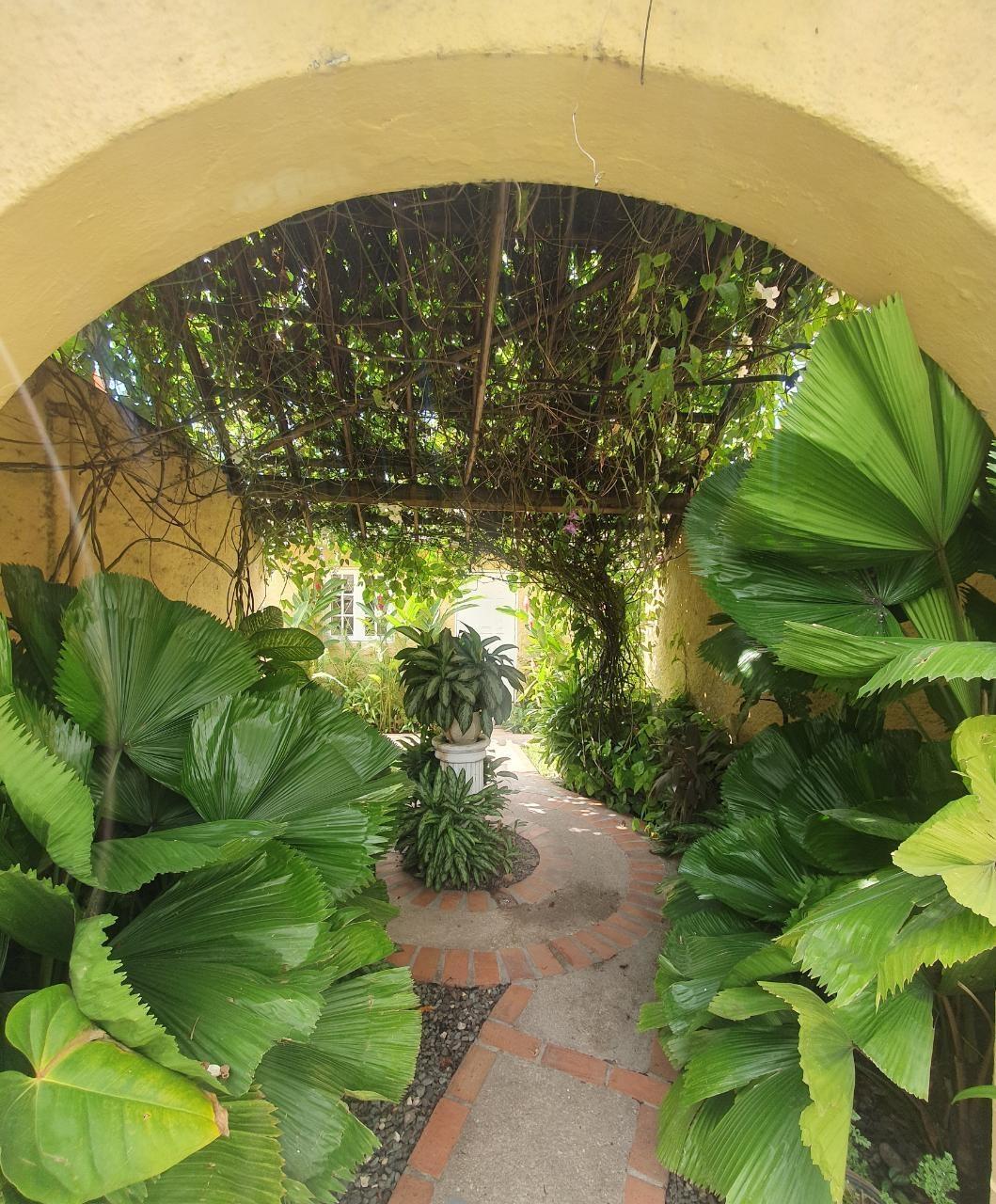 Fourteenth image of 5-3 Hillcrest Avenue in Kingston 6, St. Andrew, Jamaica - property is For Rent