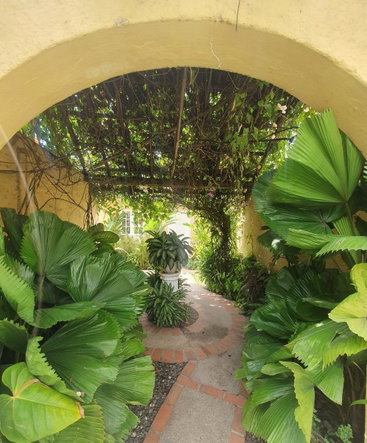 Fourteenth image of 5-3 Hillcrest Avenue in Kingston 6, St. Andrew, Jamaica - property is For Rent