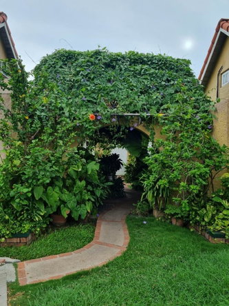 Fifteenth image of 5-3 Hillcrest Avenue in Kingston 6, St. Andrew, Jamaica - property is For Rent