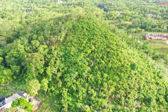 Tenth image of Land Part of Farm in Windsor Forest, Manchester, Jamaica - property is For Sale