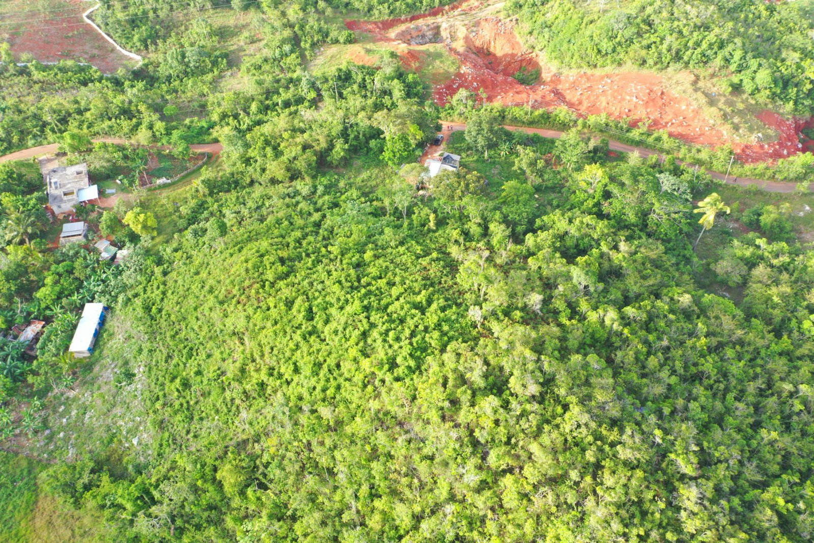 Eleventh image of Land Part of Farm in Windsor Forest, Manchester, Jamaica - property is For Sale