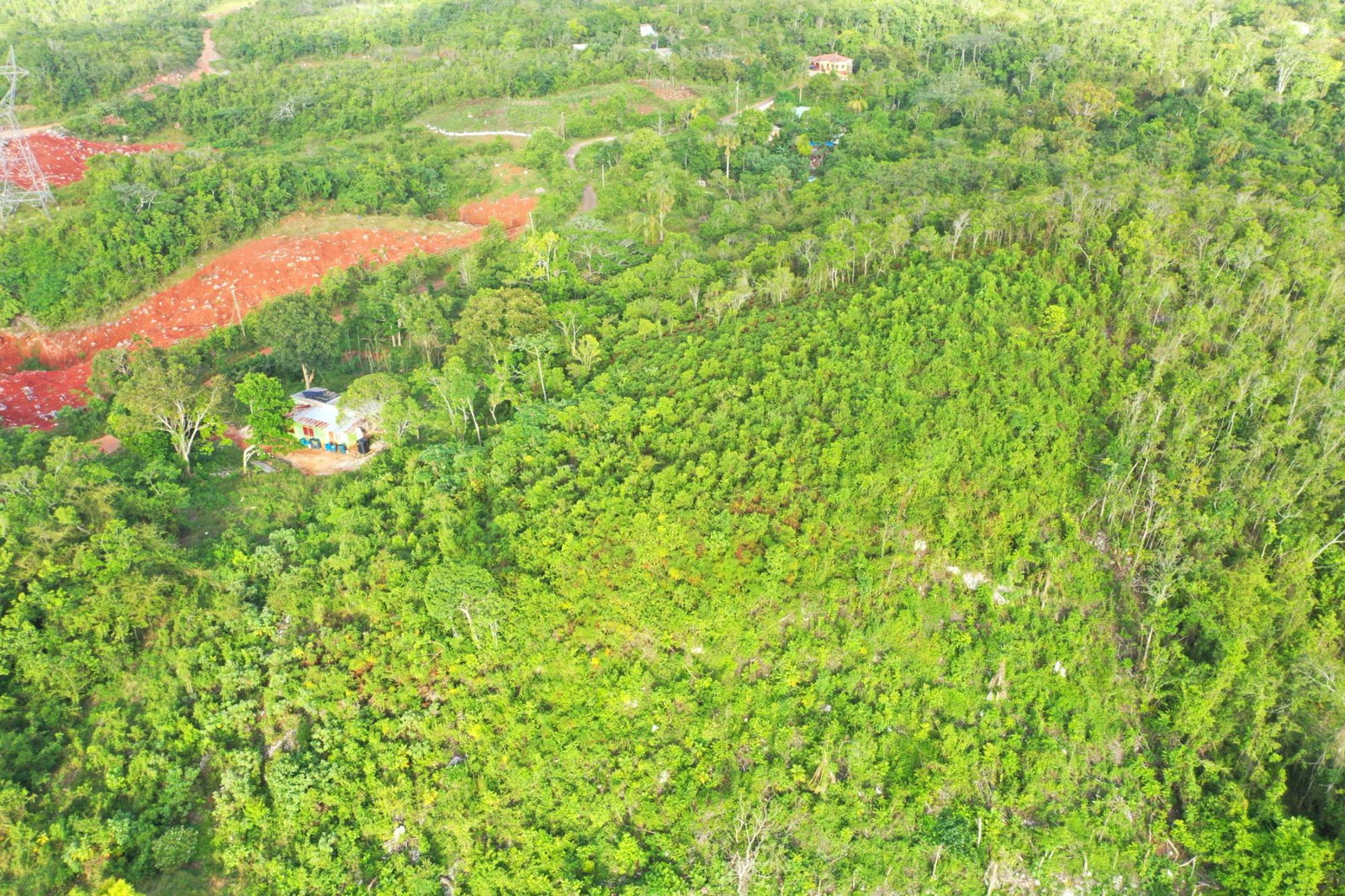 Twelfth image of Land Part of Farm in Windsor Forest, Manchester, Jamaica - property is For Sale
