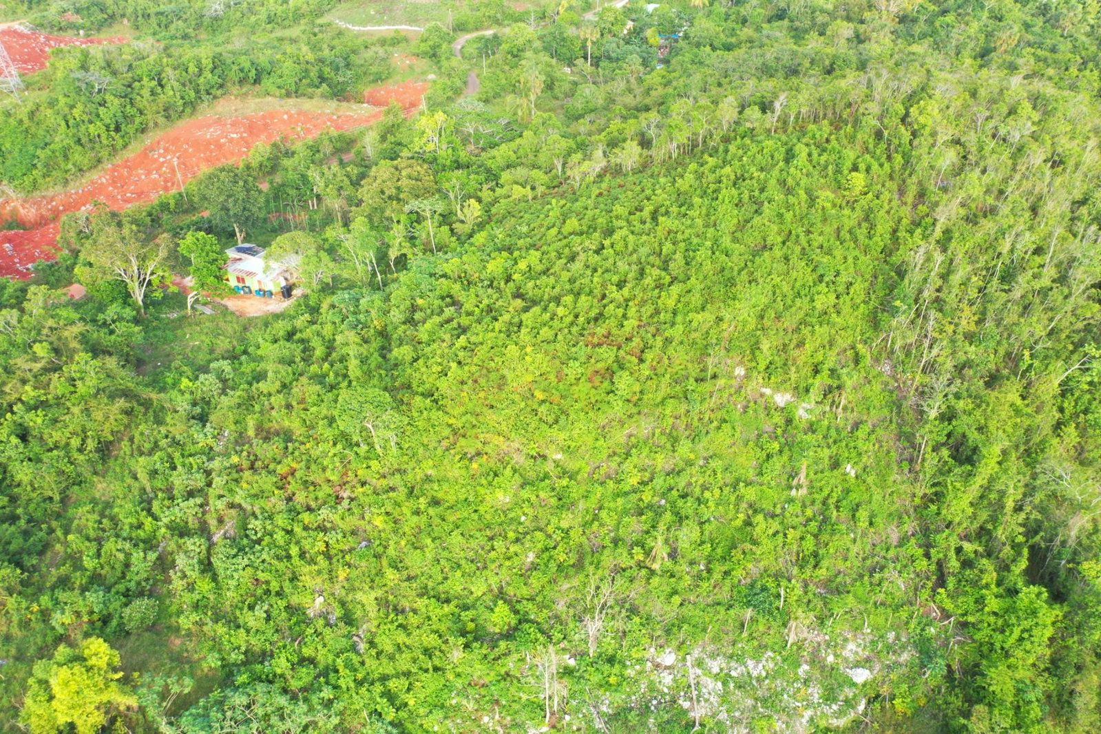 Thirteenth image of Land Part of Farm in Windsor Forest, Manchester, Jamaica - property is For Sale