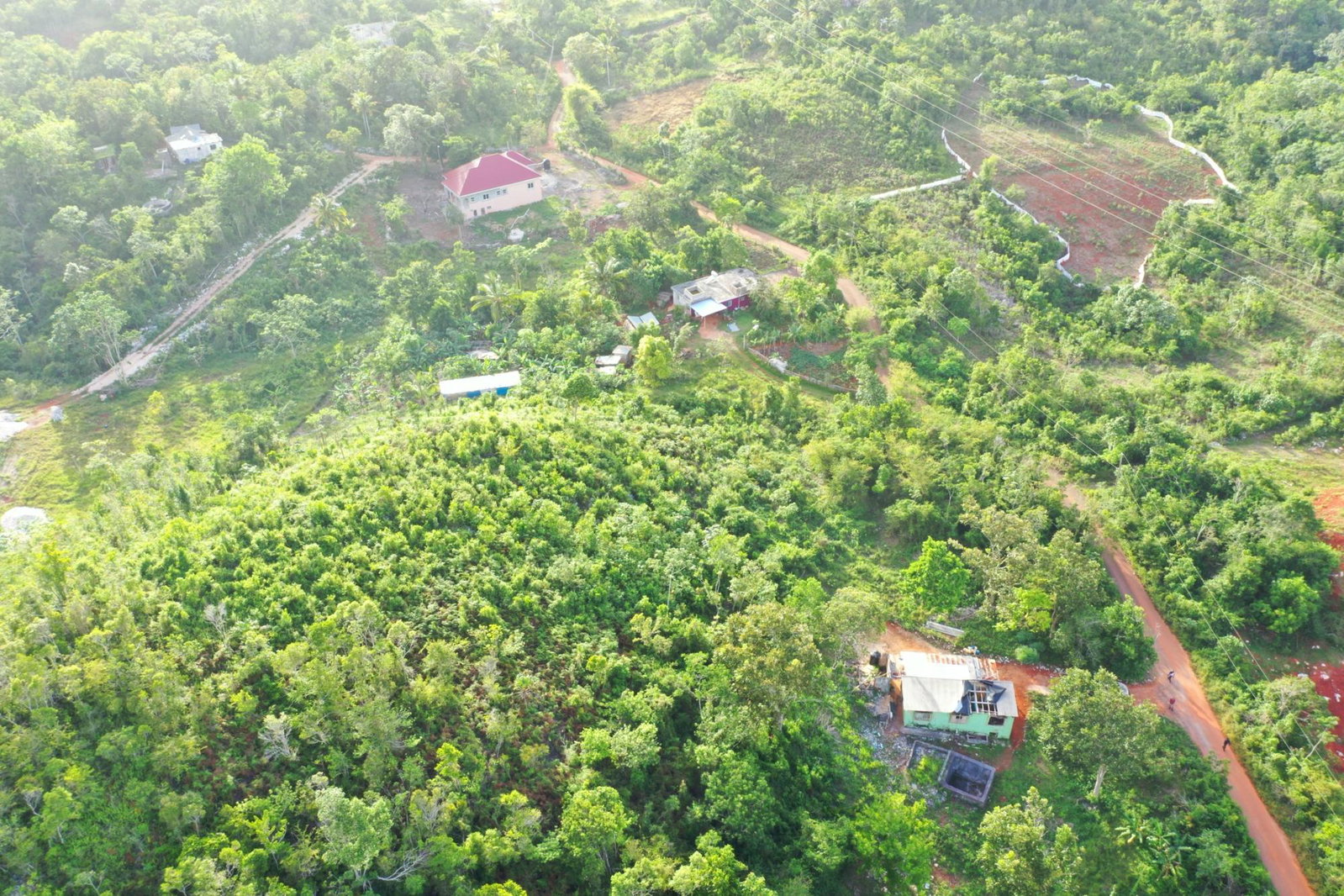 Fourteenth image of Land Part of Farm in Windsor Forest, Manchester, Jamaica - property is For Sale