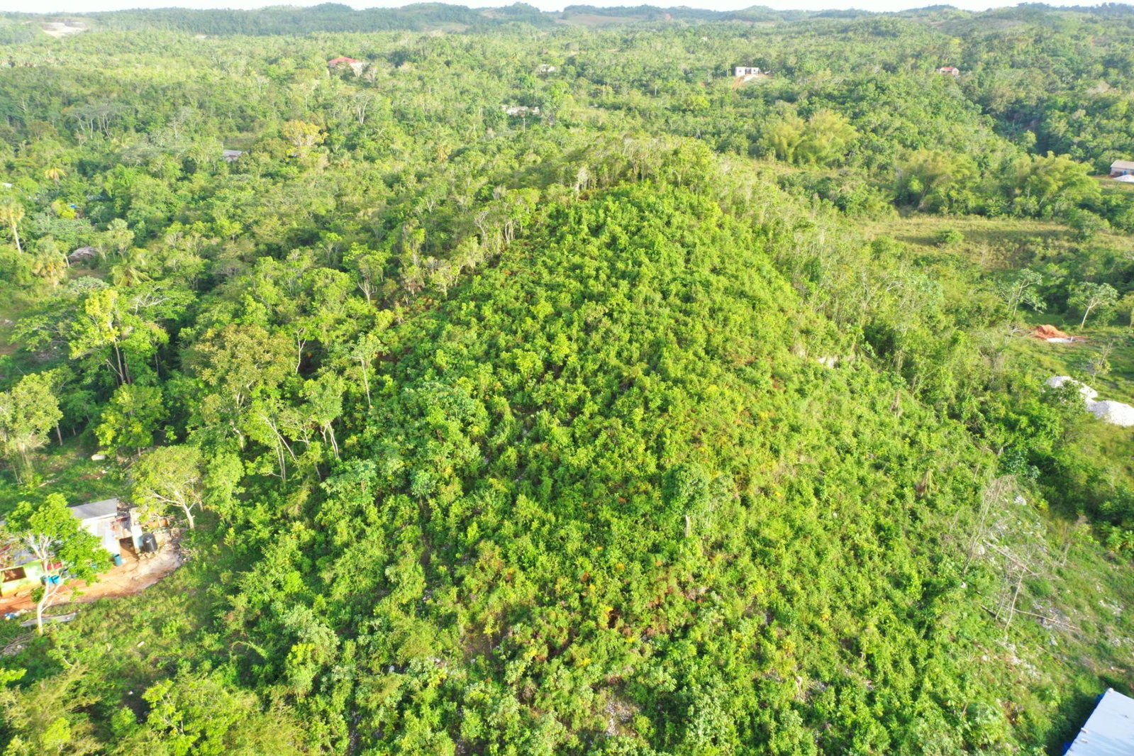 Second image of Land Part of Farm in Windsor Forest, Manchester, Jamaica - property is For Sale