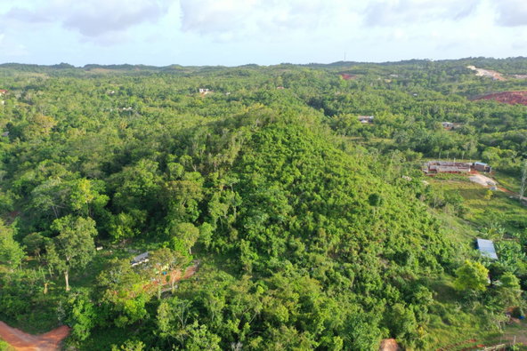Third image of Land Part of Farm in Windsor Forest, Manchester, Jamaica - property is For Sale