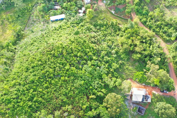 Fifth image of Land Part of Farm in Windsor Forest, Manchester, Jamaica - property is For Sale