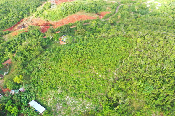Sixth image of Land Part of Farm in Windsor Forest, Manchester, Jamaica - property is For Sale