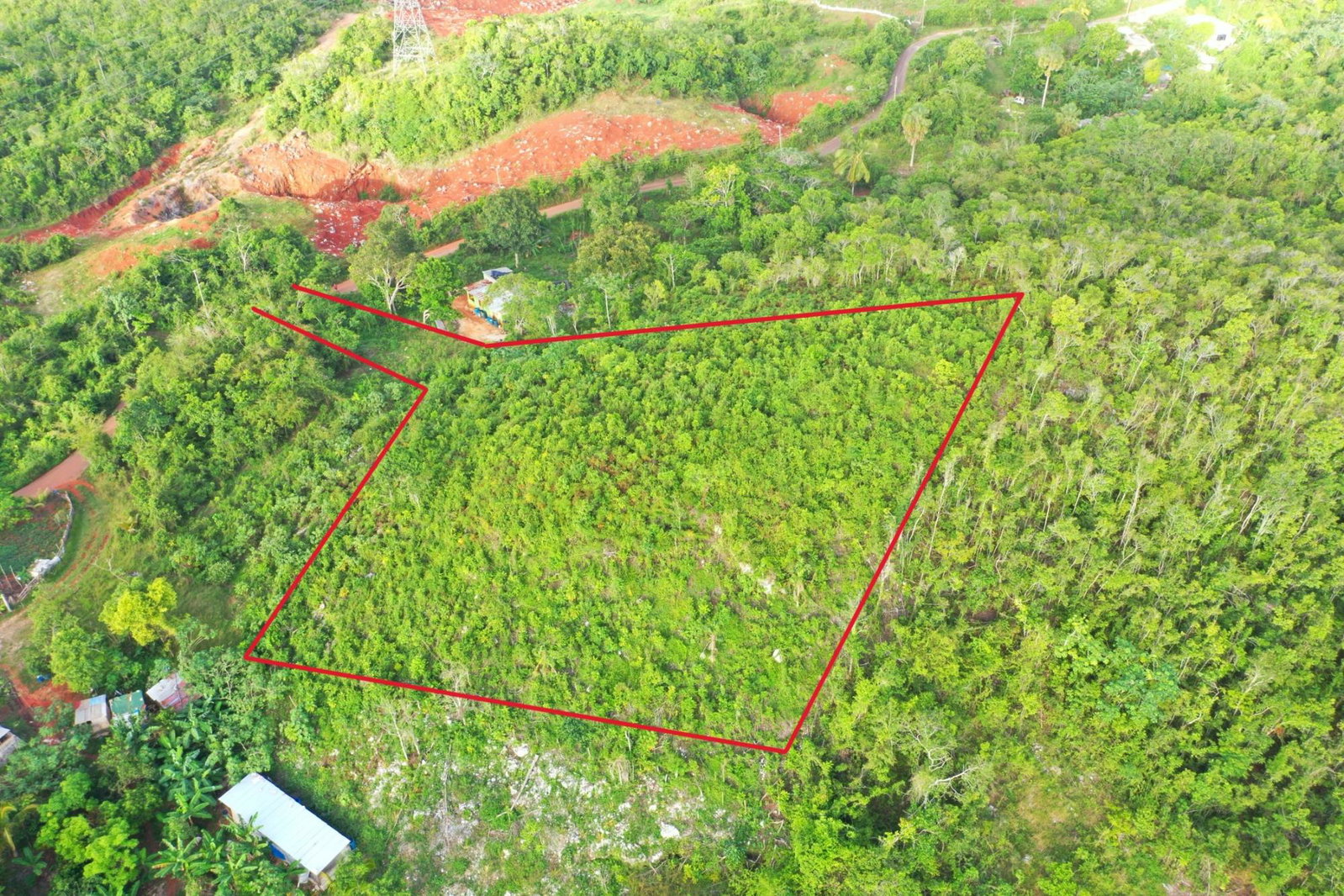 Seventh image of Land Part of Farm in Windsor Forest, Manchester, Jamaica - property is For Sale