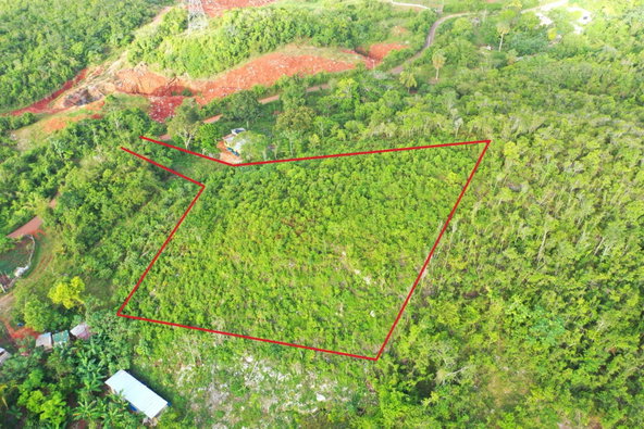 Seventh image of Land Part of Farm in Windsor Forest, Manchester, Jamaica - property is For Sale
