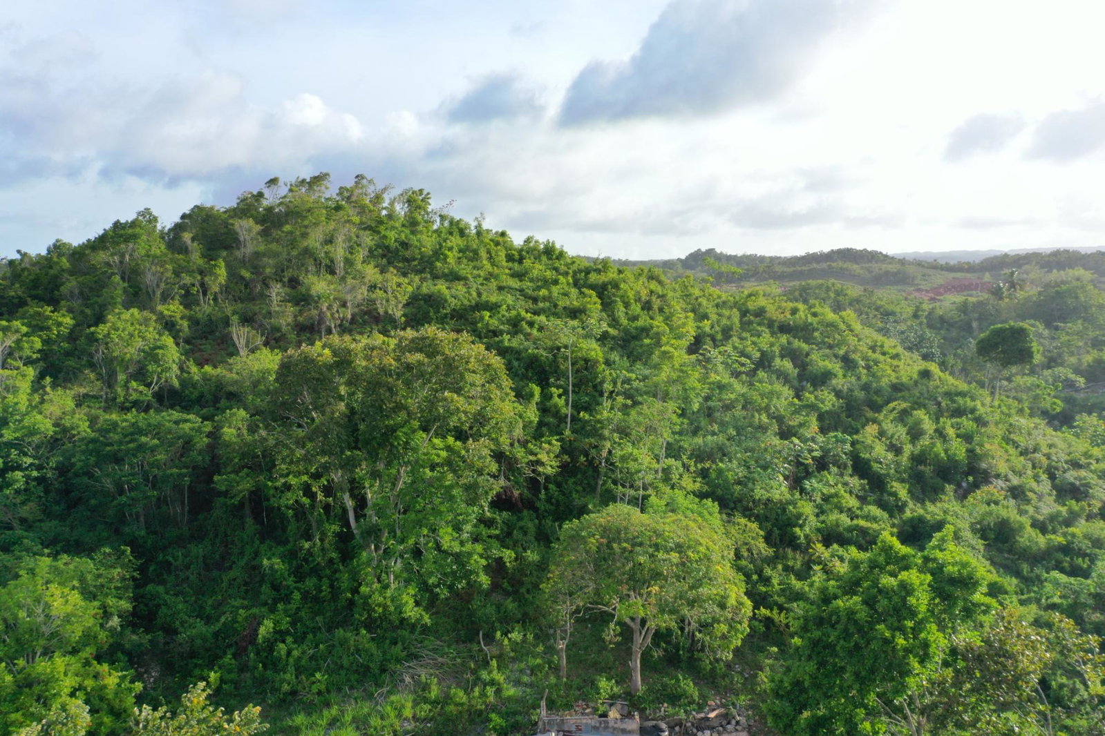 Eighth image of Land Part of Farm in Windsor Forest, Manchester, Jamaica - property is For Sale
