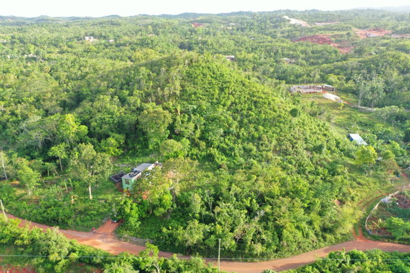 Ninth image of Land Part of Farm in Windsor Forest, Manchester, Jamaica - property is For Sale