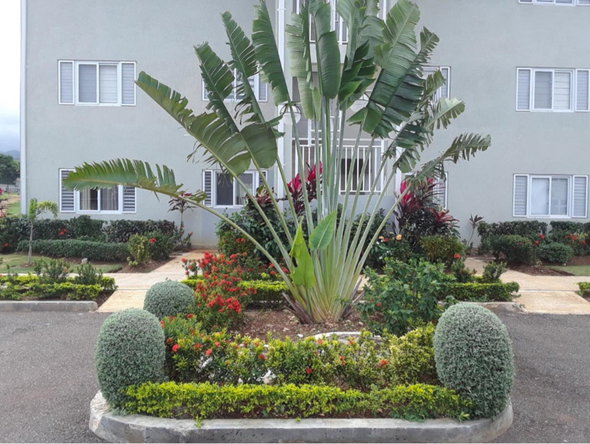 Third image of Fern Court , St. Ann in Runaway Bay, St. Ann, Jamaica - property is For Rent