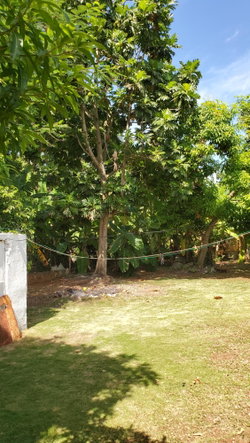 Eleventh image of 30- Upper Mammee Bay in Mammee Bay, St. Ann, Jamaica - property is For Sale