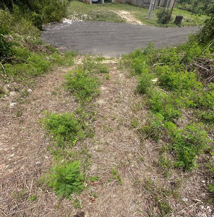 First image of 134 Highlands, Spring Farm in Rose Hall, St. James, Jamaica - property is For Sale