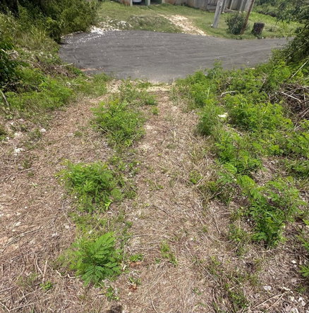 First image of 134 Highlands, Spring Farm in Rose Hall, St. James, Jamaica - property is For Sale