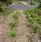 First image of 134 Highlands, Spring Farm in Rose Hall, St. James, Jamaica - property is For Sale