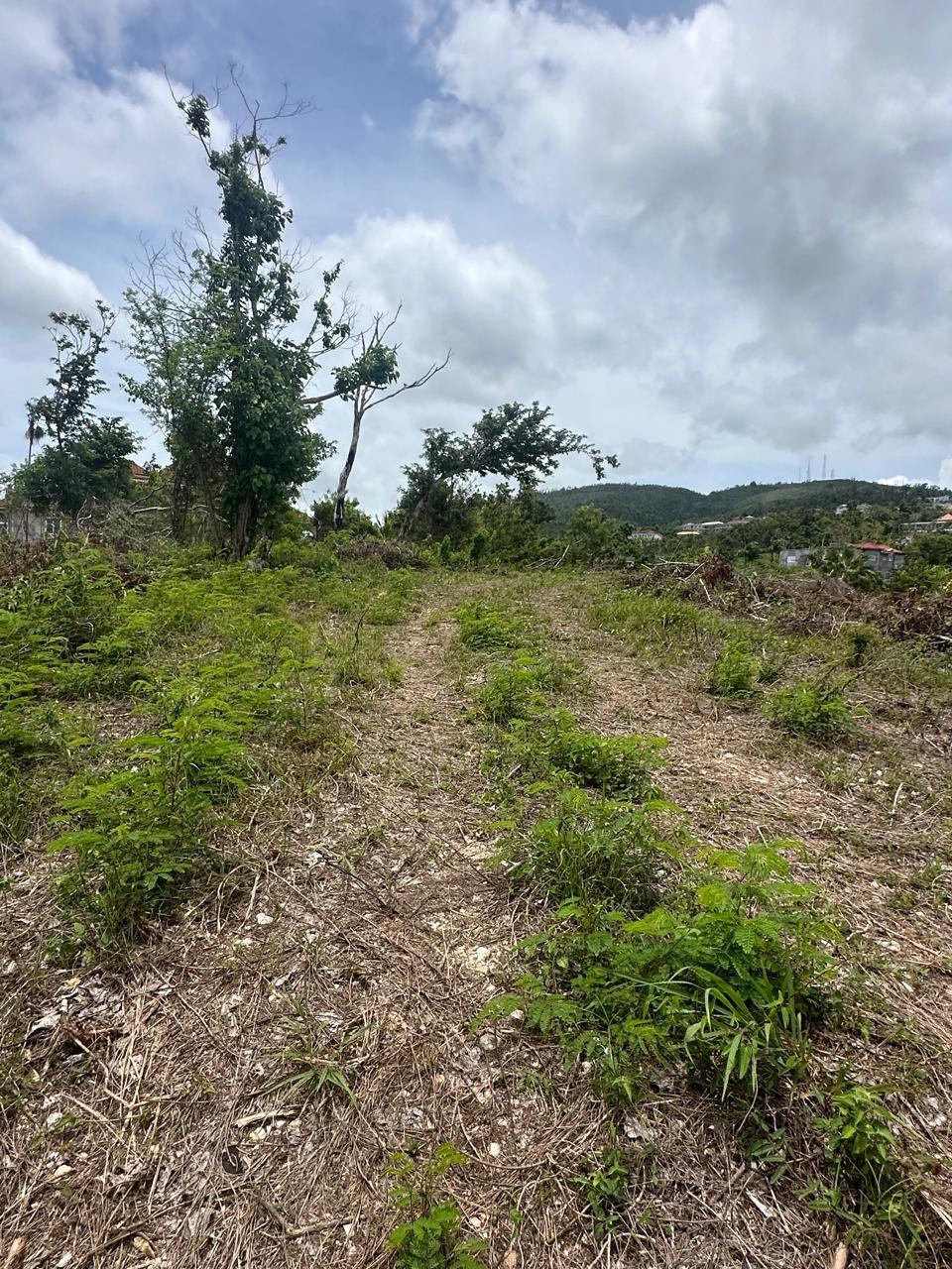 Second image of 134 Highlands, Spring Farm in Rose Hall, St. James, Jamaica - property is For Sale