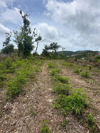 Second image of 134 Highlands, Spring Farm in Rose Hall, St. James, Jamaica - property is For Sale