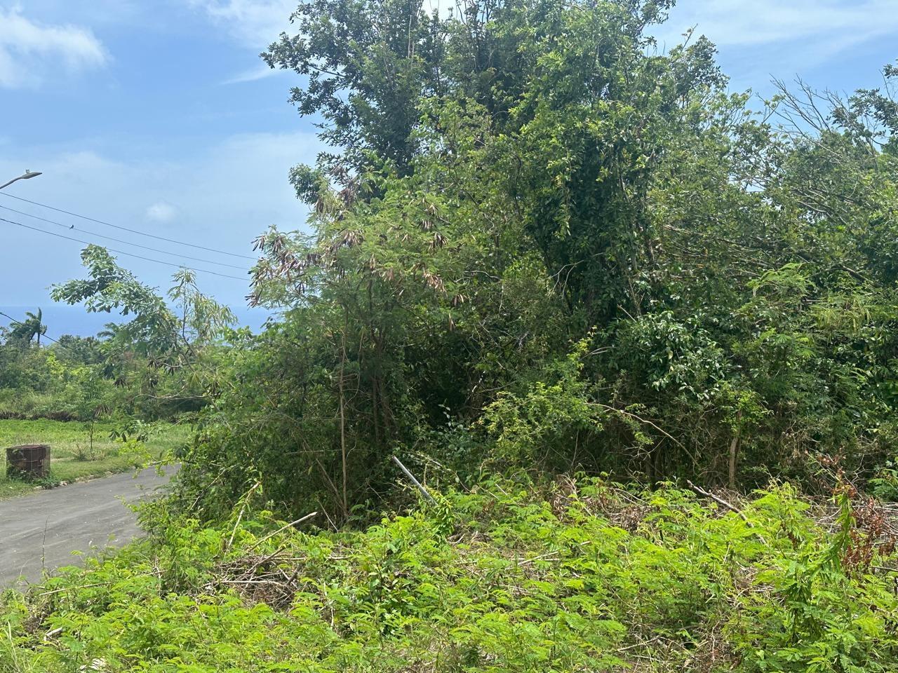 Third image of 134 Highlands, Spring Farm in Rose Hall, St. James, Jamaica - property is For Sale
