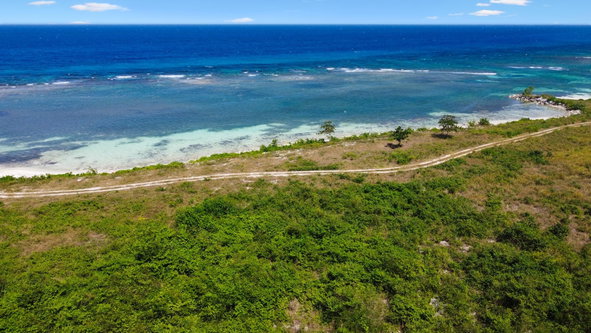 Sixth image of Braco Estate in Duncans, Trelawny, Jamaica - property is For Sale