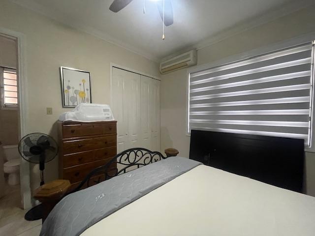 Sixteenth image of 25 Liguanea Avenue in Kingston 6, St. Andrew, Jamaica - property is For Rent