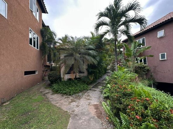 Twentieth image of 25 Liguanea Avenue in Kingston 6, St. Andrew, Jamaica - property is For Rent