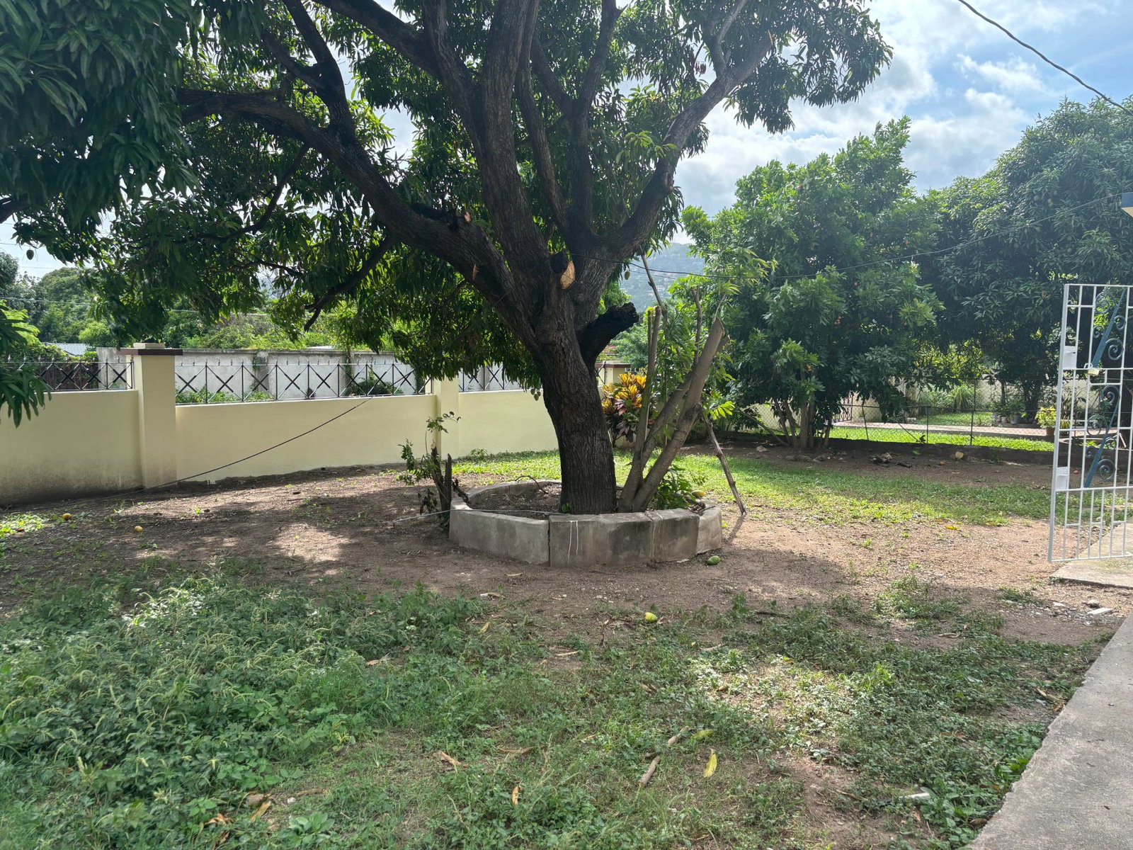 Twenty-First image of 26 Burbank Avenue in Kingston 19, St. Andrew, Jamaica - property is For Rent