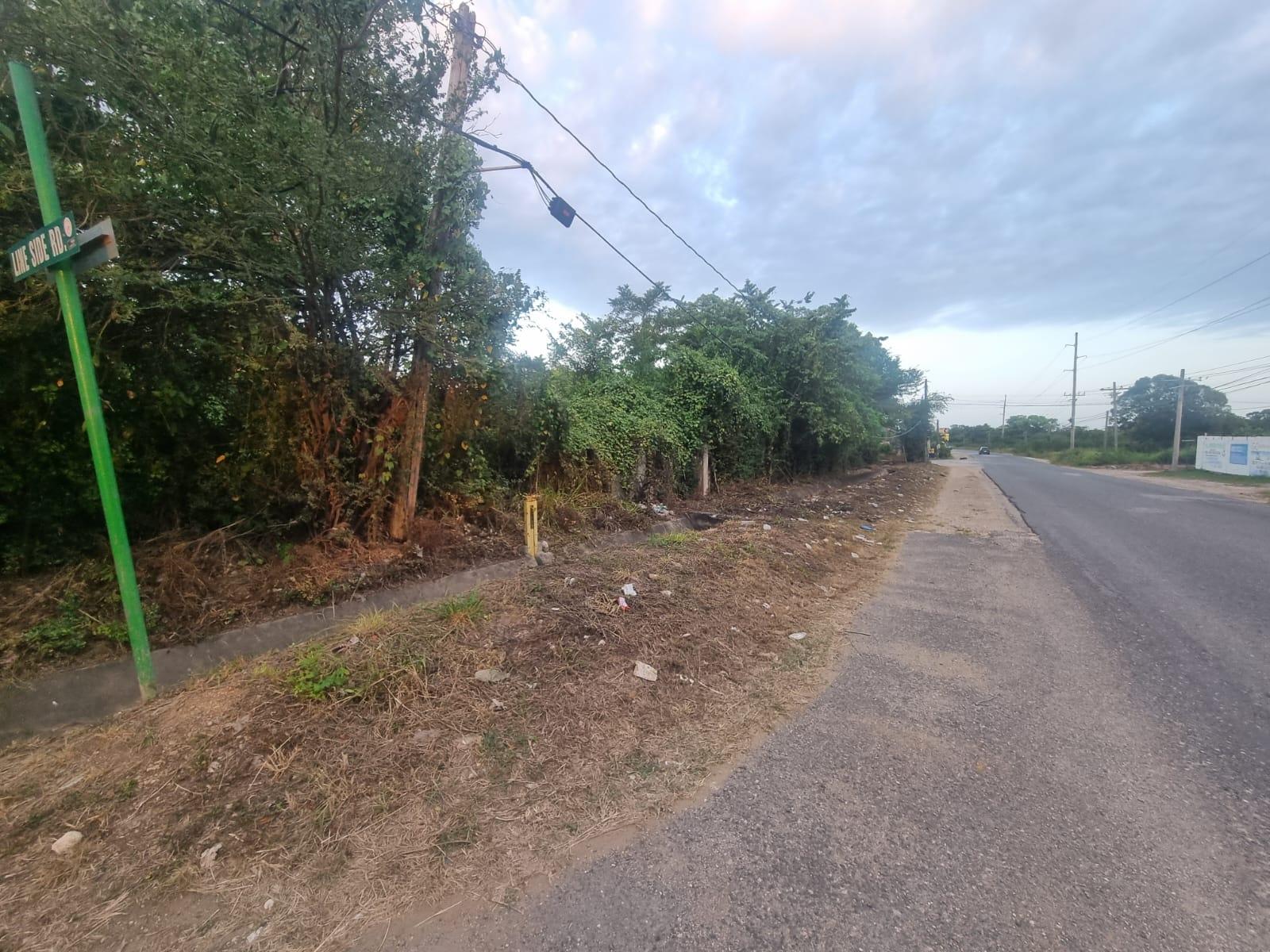 Second image of Lot 4 Heifer Run, Toll Gate p. in Toll Gate, Clarendon, Jamaica - property is For Sale