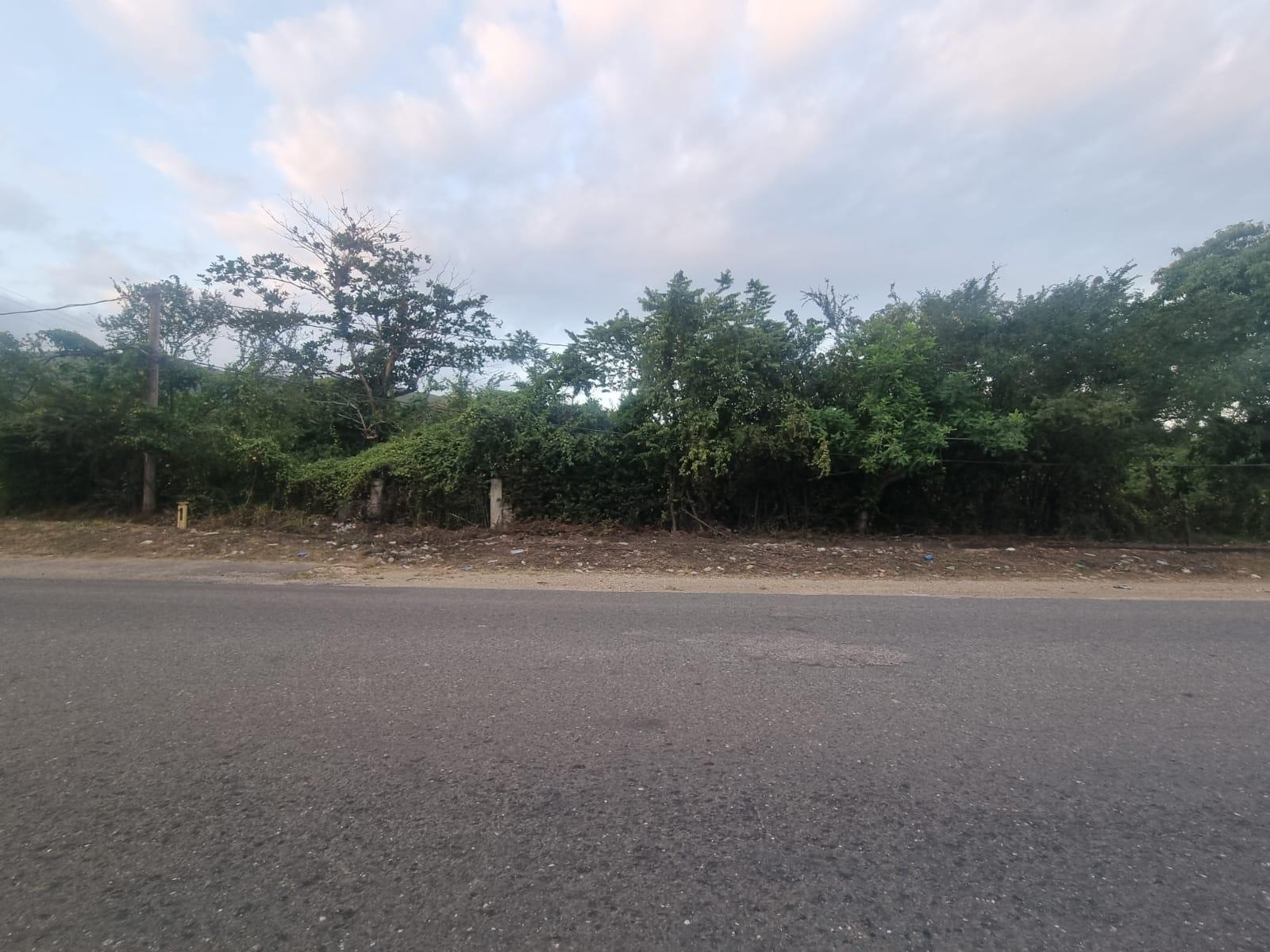 Third image of Lot 4 Heifer Run, Toll Gate p. in Toll Gate, Clarendon, Jamaica - property is For Sale