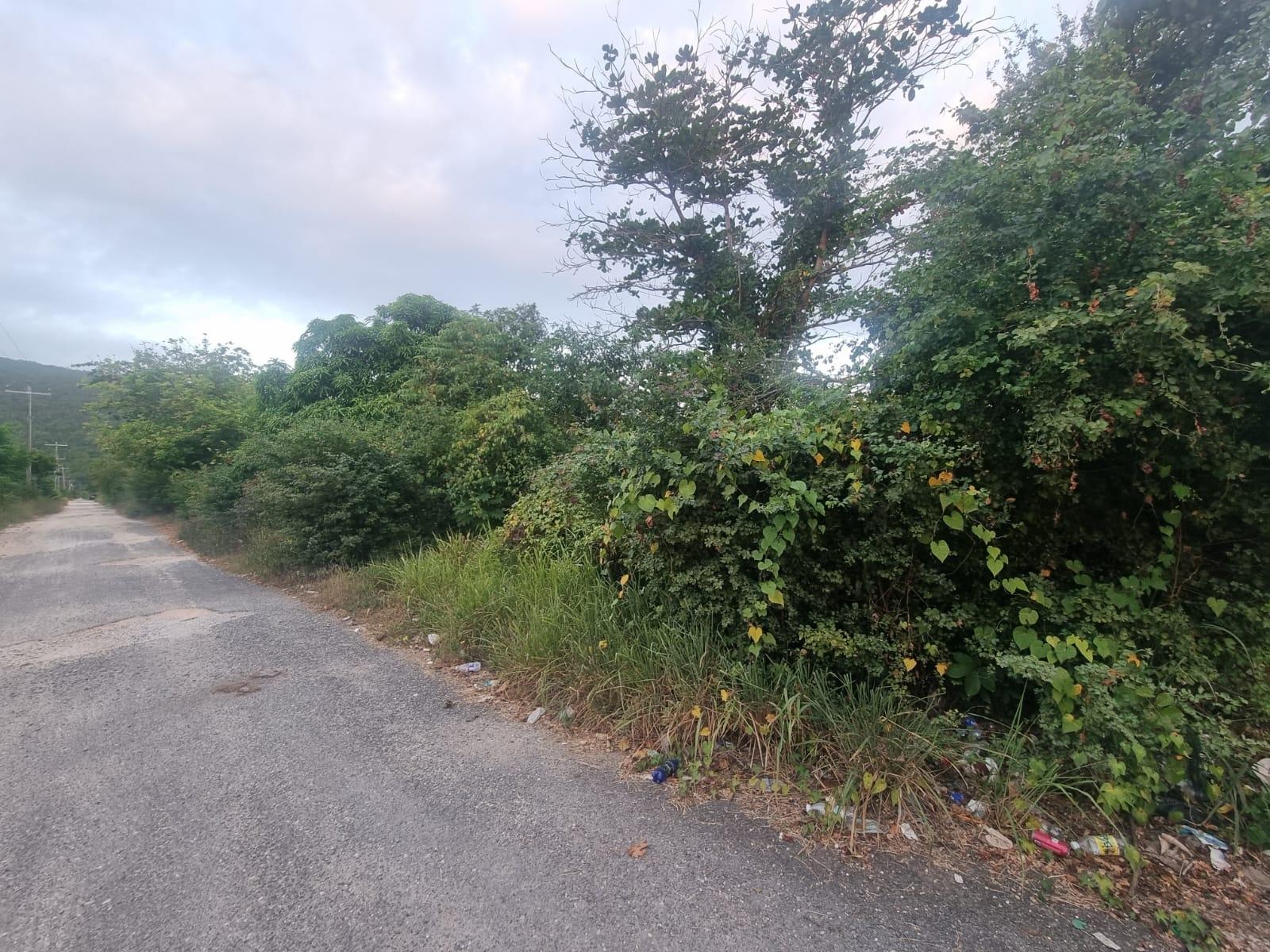 Fifth image of Lot 4 Heifer Run, Toll Gate p. in Toll Gate, Clarendon, Jamaica - property is For Sale