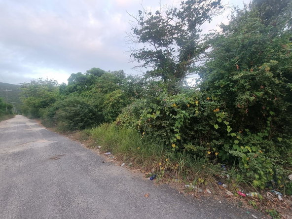 Fifth image of Lot 4 Heifer Run, Toll Gate p. in Toll Gate, Clarendon, Jamaica - property is For Sale