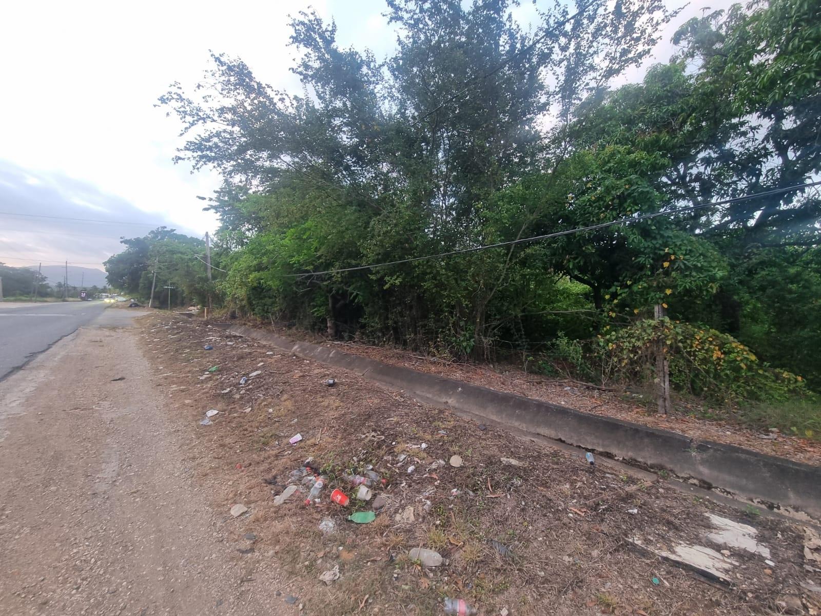 Sixth image of Lot 4 Heifer Run, Toll Gate p. in Toll Gate, Clarendon, Jamaica - property is For Sale