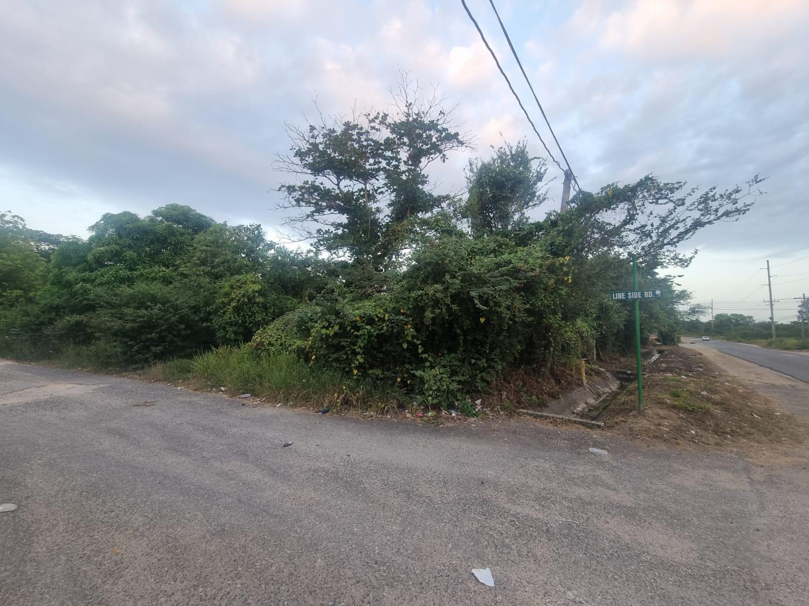 Seventh image of Lot 4 Heifer Run, Toll Gate p. in Toll Gate, Clarendon, Jamaica - property is For Sale