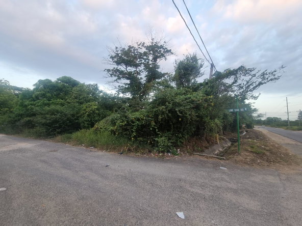 Seventh image of Lot 4 Heifer Run, Toll Gate p. in Toll Gate, Clarendon, Jamaica - property is For Sale