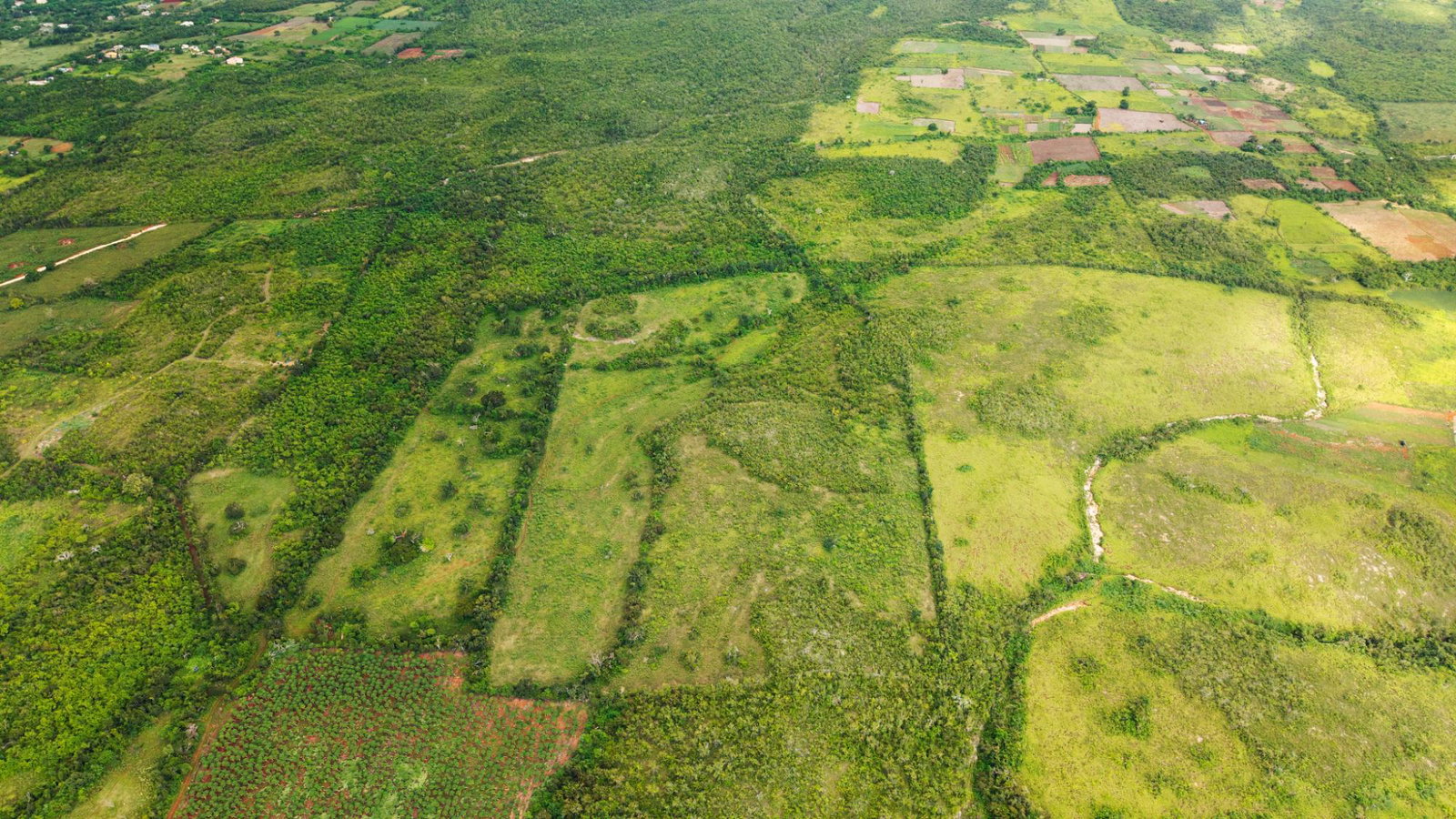 Third image of Claremont Park St. Elizab in Claremont Park, St. Elizabeth, Jamaica - property is For Sale